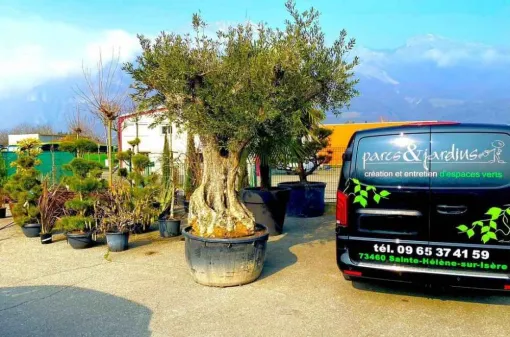 Venez découvrir une large séléction de végétaux disponible sur place, Albertville, Parcs et Jardins
