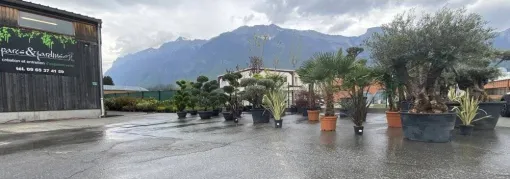Nouveauté Vente de végétaux, Albertville, Parcs et Jardins