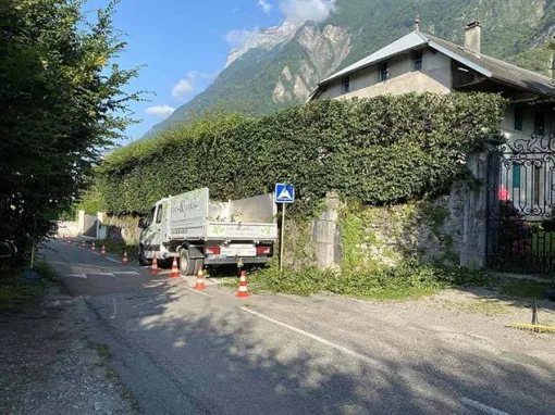Taille de haie par paysagiste à Albertville, Albertville, Parcs et Jardins