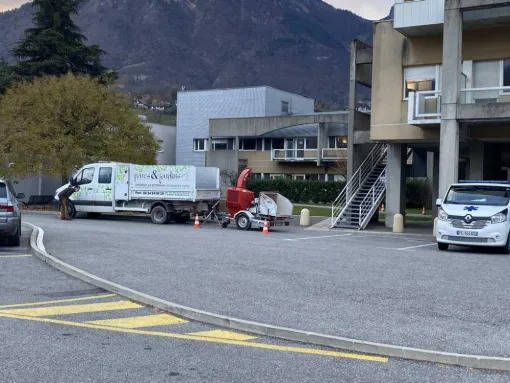 Travaux d'élagage d'accès difficile à Albertville, Albertville, Parcs et Jardins