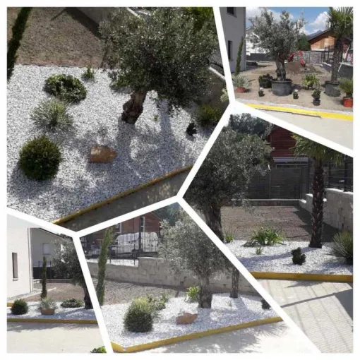 Création d'un jardin méditerranéen en bordure de piscine à Mercury, Albertville, Parcs et Jardins