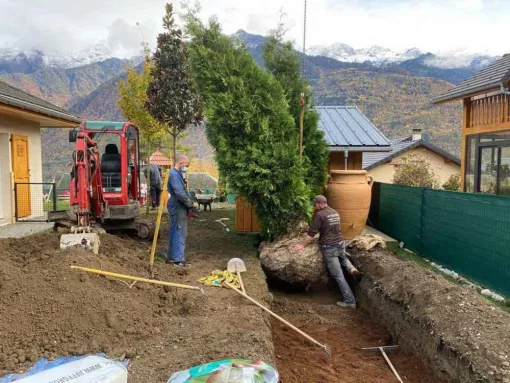 Plantation de haie à Albertville, Albertville, Parcs et Jardins