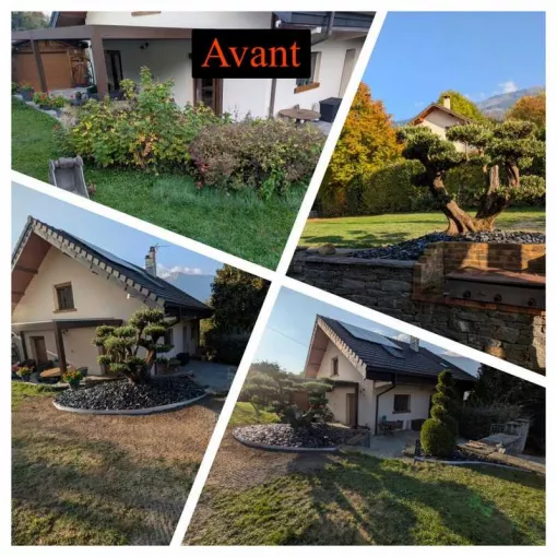 Massif avec olivier à Albertville, Albertville, Parcs et Jardins