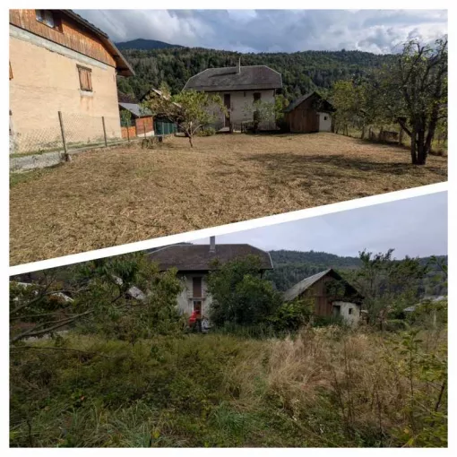 Défrichage à Chambéry, Albertville, Parcs et Jardins