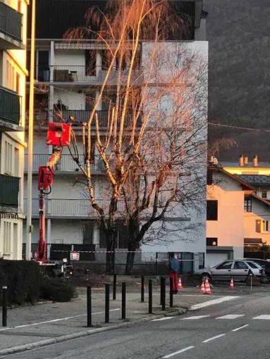 Tailles (fruitier, arbre d'ornement...) à Albertville, Albertville, Parcs et Jardins