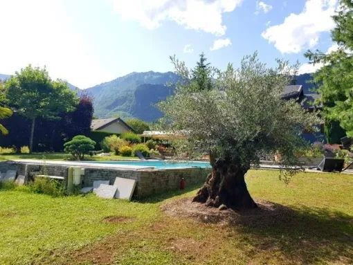 Plantation d’Oliviers centenaires à Albertville, Albertville, Parcs et Jardins
