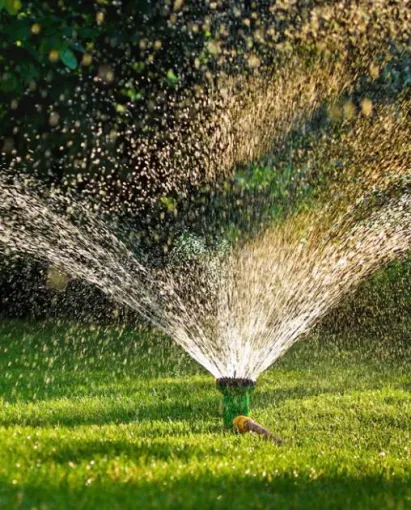 Entretenir son jardin en temps de canicule, Albertville, Parcs et Jardins