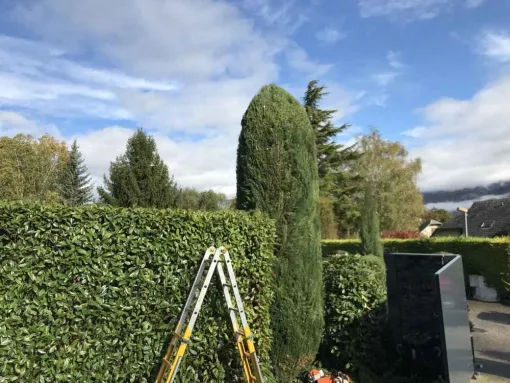 Service de taille de haie à Chambéry, Albertville, Parcs et Jardins