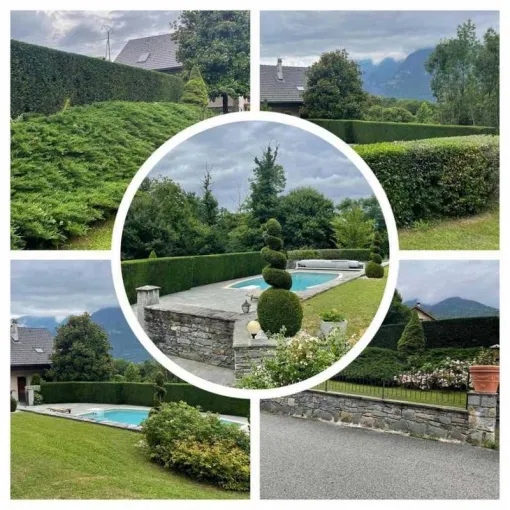 Taille de haie à Chambéry, Albertville, Parcs et Jardins