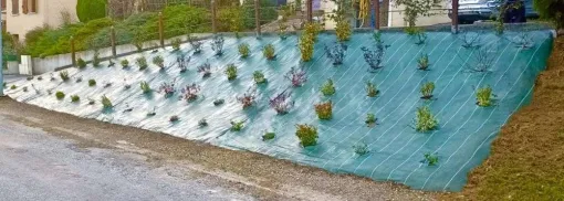 Création et aménagement de massif à Chambéry, Albertville, Parcs et Jardins