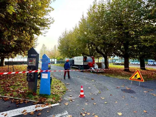 Élagage et entretien des arbres à Chambéry, Albertville, Parcs et Jardins