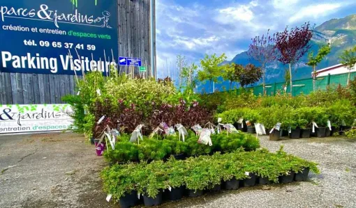 Vente de végétaux prêts à planter à Chambéry, Albertville, Parcs et Jardins