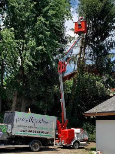 Paysagiste spécialisé dans le démontage à la nacelle d'épicéas déstabilisés suite à la tempête Albertville, Albertville, Parcs et Jardins