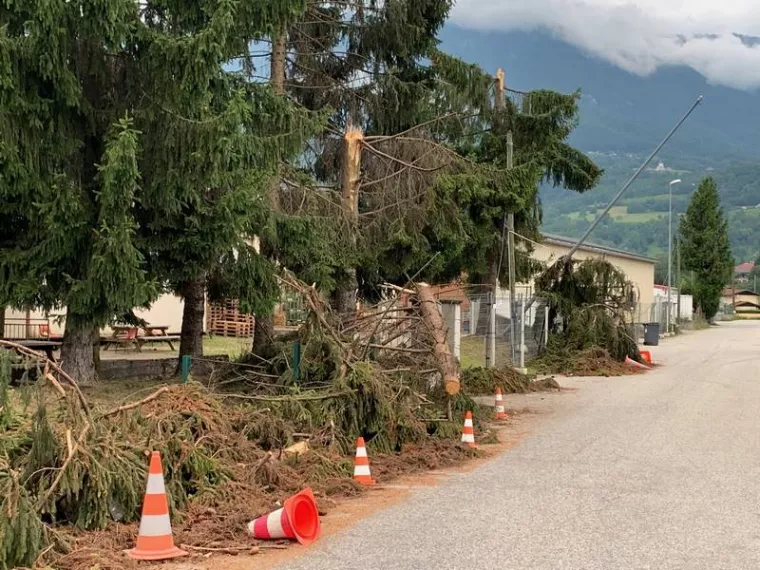 Démontage d'arbre, Albertville, Parcs et Jardins
