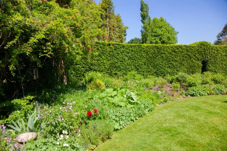 Entreprise pour le débroussaillage de jardin ou terrain à Albertville, Albertville, Parcs et Jardins