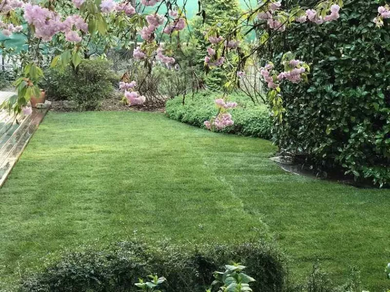 Entretien pelouse, Albertville, Parcs et Jardins
