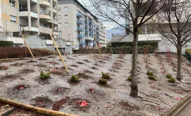 Aménagement d'un parc paysagé dans une copropriété à Chambéry, Albertville, Parcs et Jardins