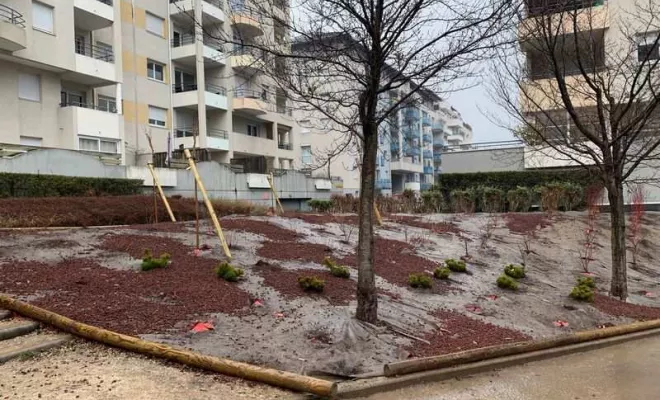 Aménagement d'un parc paysagé dans une copropriété à Chambéry, Albertville, Parcs et Jardins