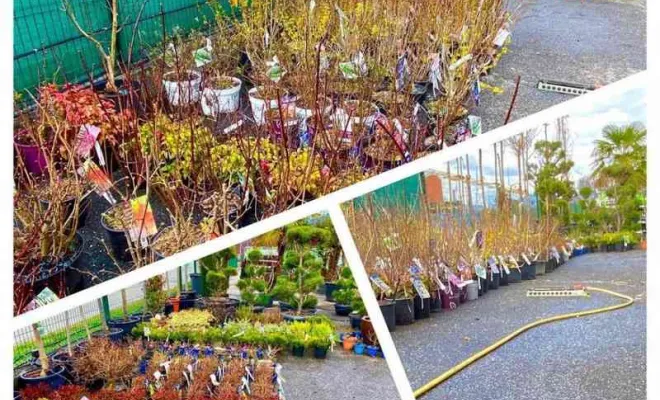 Venez découvrir une large séléction de végétaux disponible sur place, Albertville, Parcs et Jardins