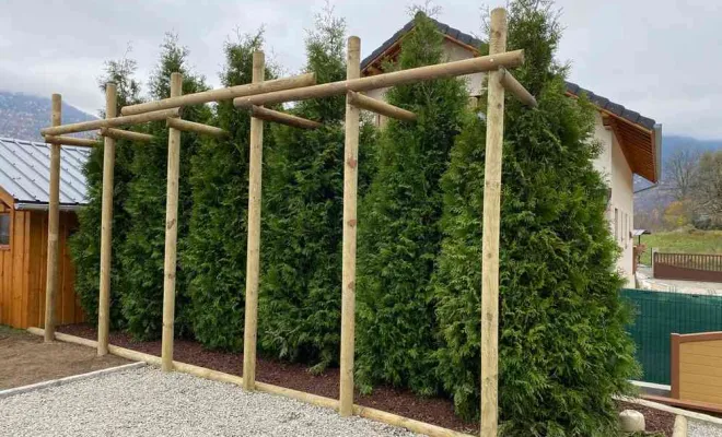 Paysagiste à Saint-Alban-d'Hurtières pour la réalisation de brise-vue de jardin végétal, Albertville, Parcs et Jardins
