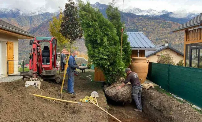 Paysagiste à Saint-Alban-d'Hurtières pour la réalisation de brise-vue de jardin végétal, Albertville, Parcs et Jardins