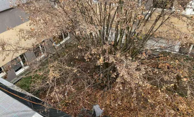 Travaux d'élagage d'accès difficile à Albertville, Albertville, Parcs et Jardins