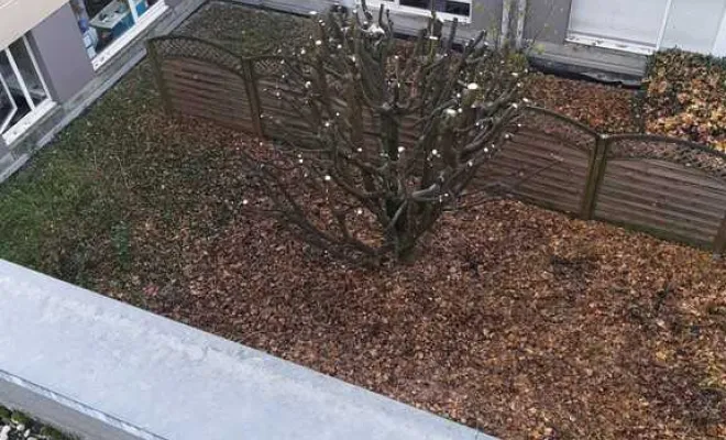 Travaux d'élagage d'accès difficile à Albertville, Albertville, Parcs et Jardins