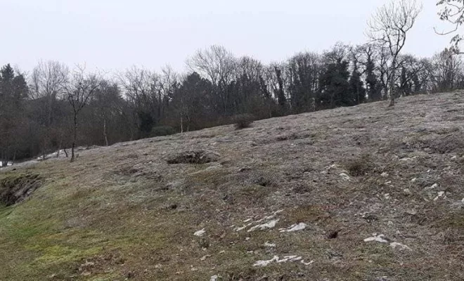 Débroussaillage, Albertville, Parcs et Jardins