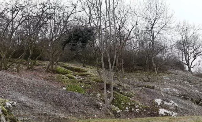 Débroussaillage, Albertville, Parcs et Jardins