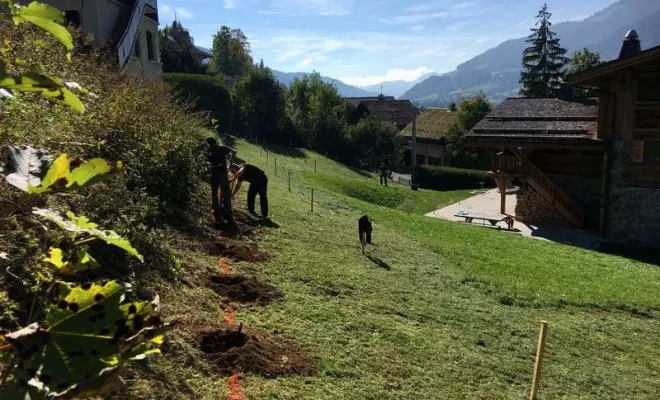 Débroussaillage, Albertville, Parcs et Jardins